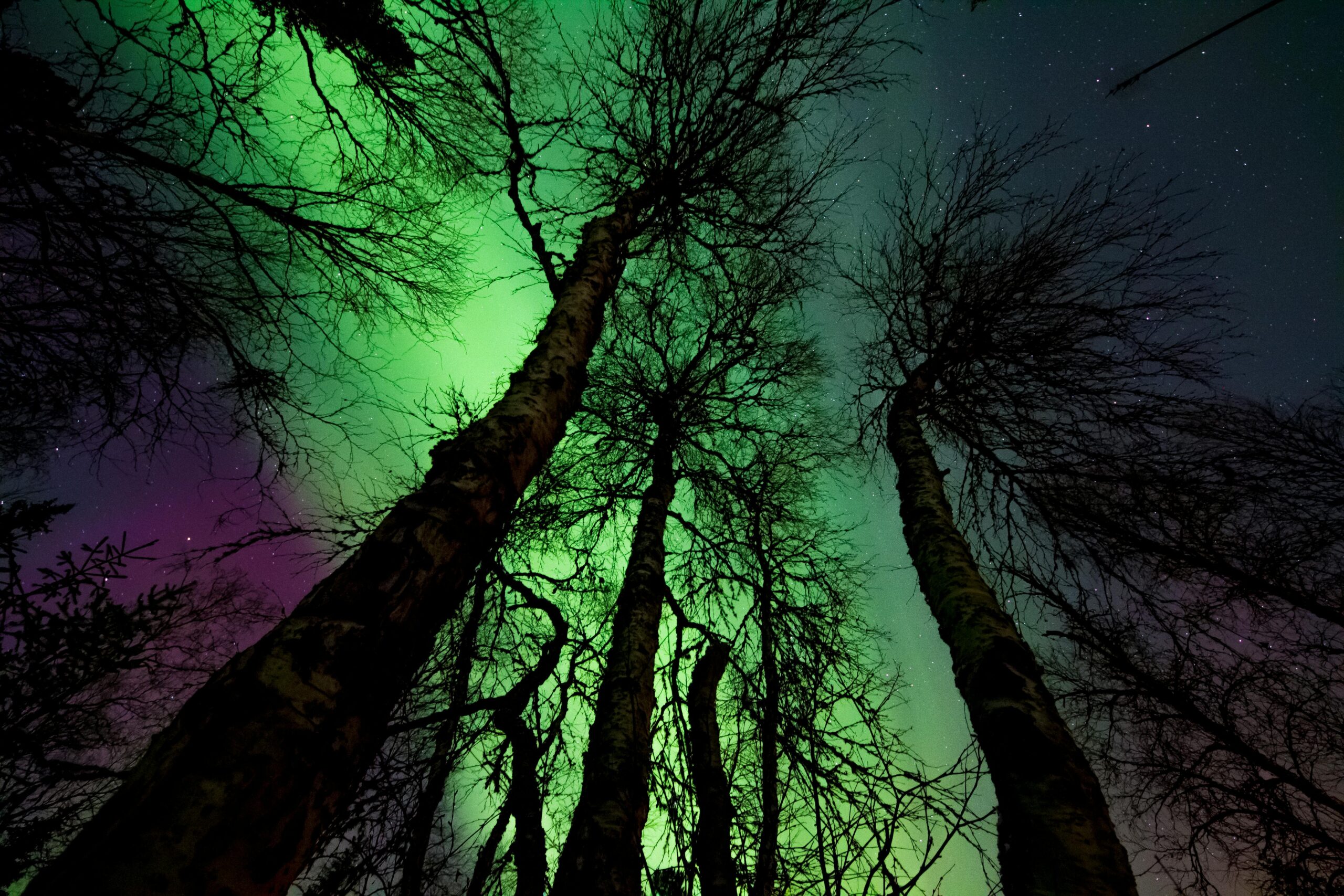 Aurora Boreal